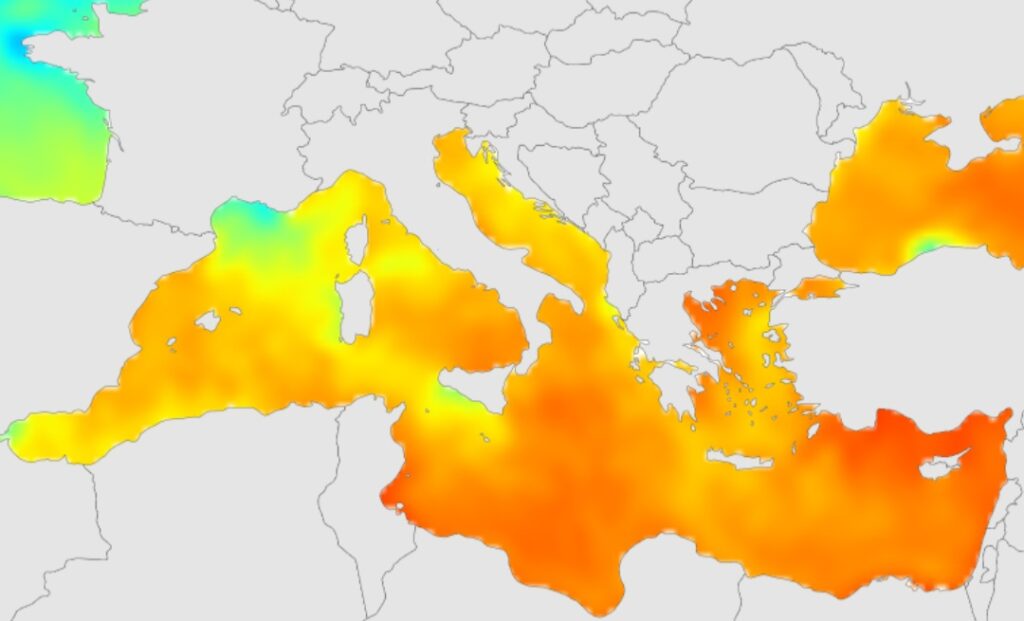 SST mediterraneo 31 luglio