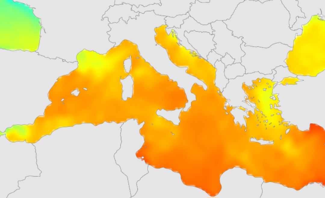 Maltempo Romagna, mare caldo e temporali autorigeneranti: ecco perché la scorsa notte è stata segnata da nubifragi e grandinate