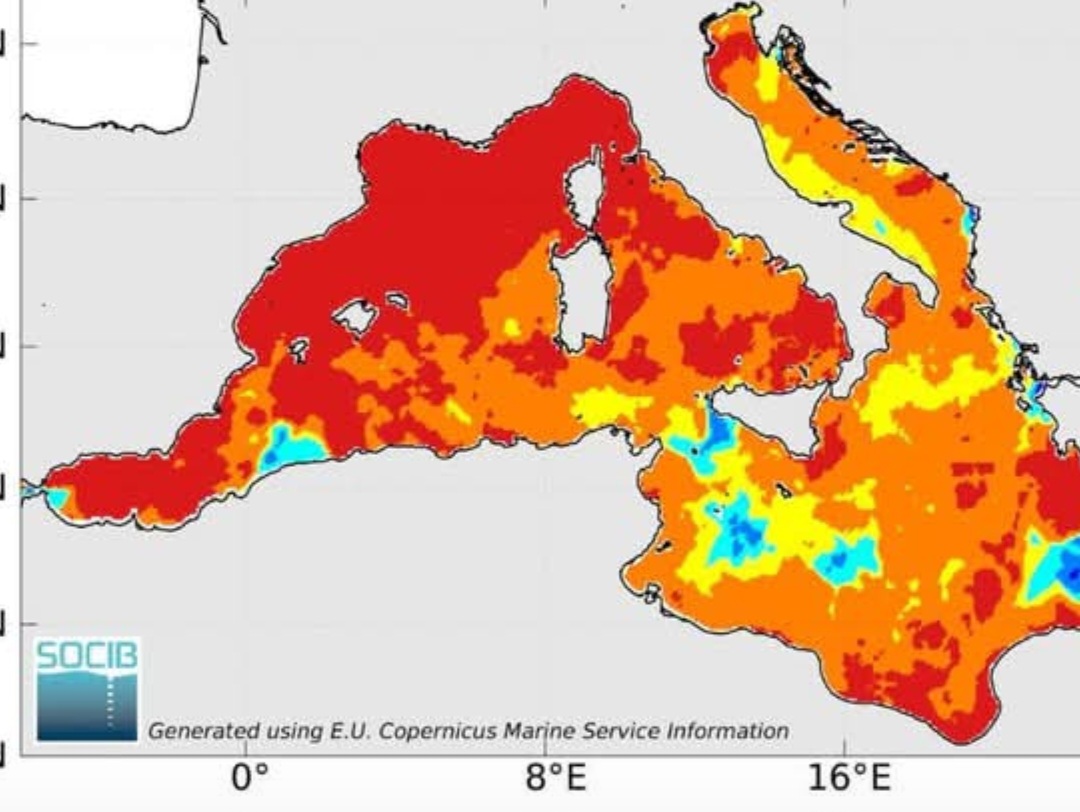 Temperature superficiali Mediterraneo