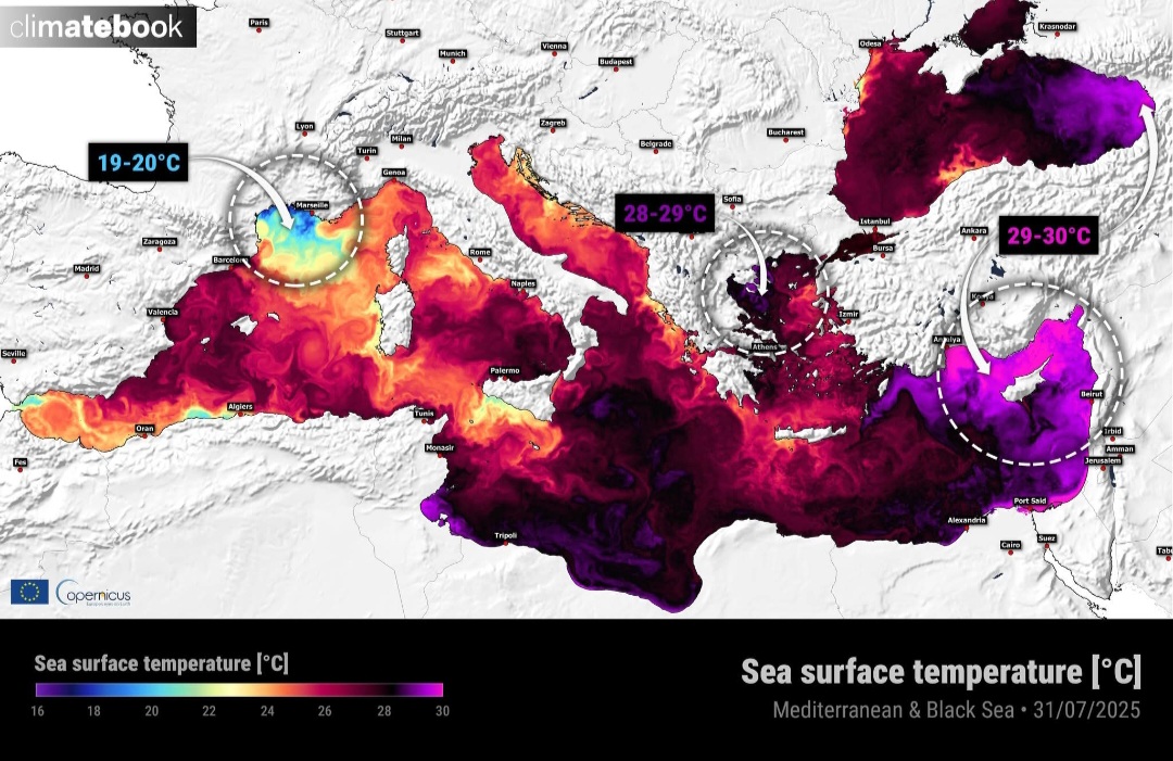 Temperature superficiali Mediterraneo