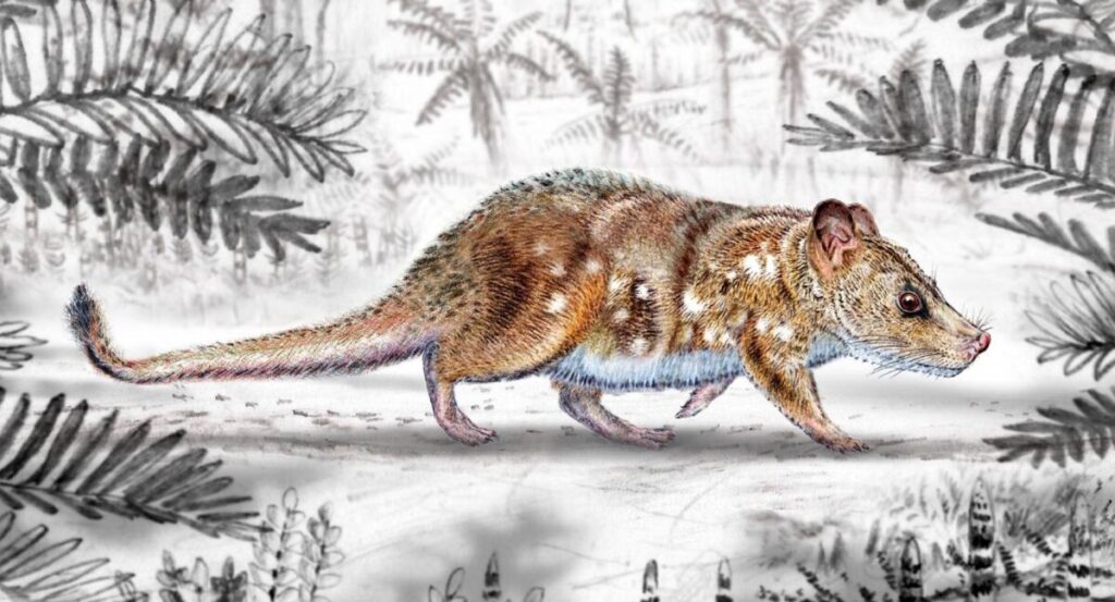 Yeutherium pressor