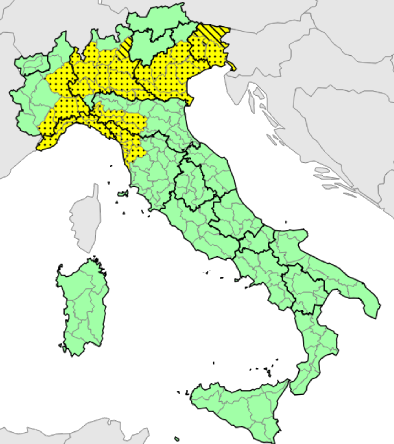 allerta meteo maltempo protezione civile criticità