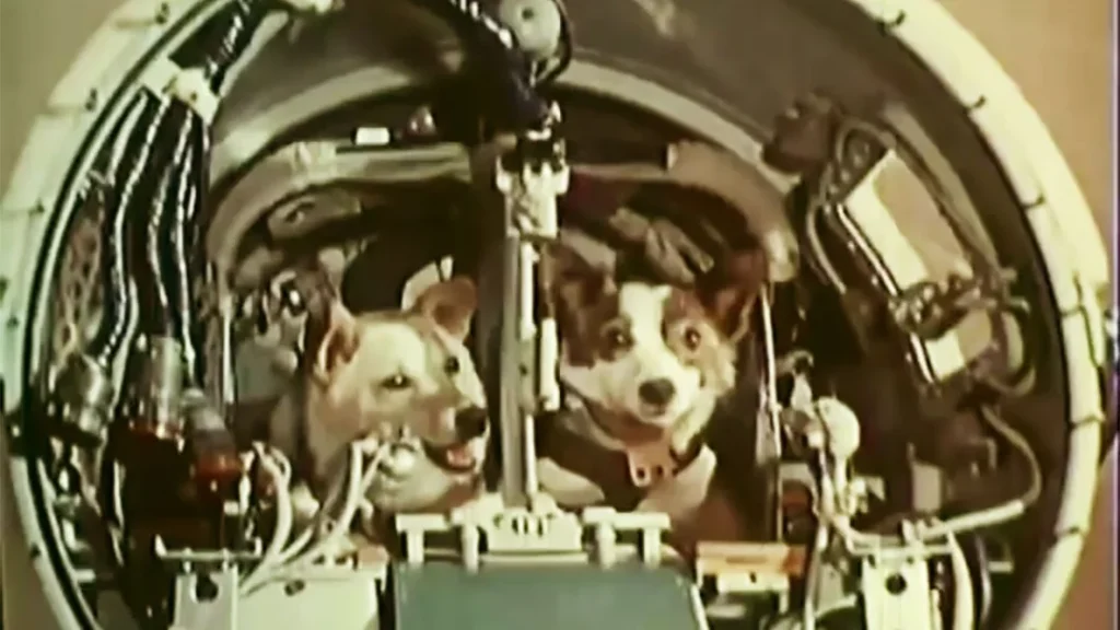 belka strelka cani spazio sputnik 19 agosto 1960