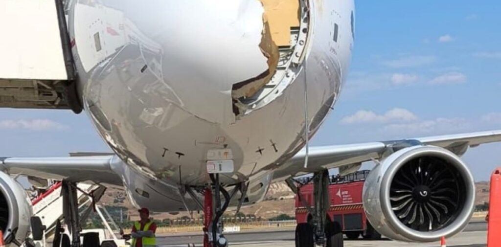 bird strike volo iberia