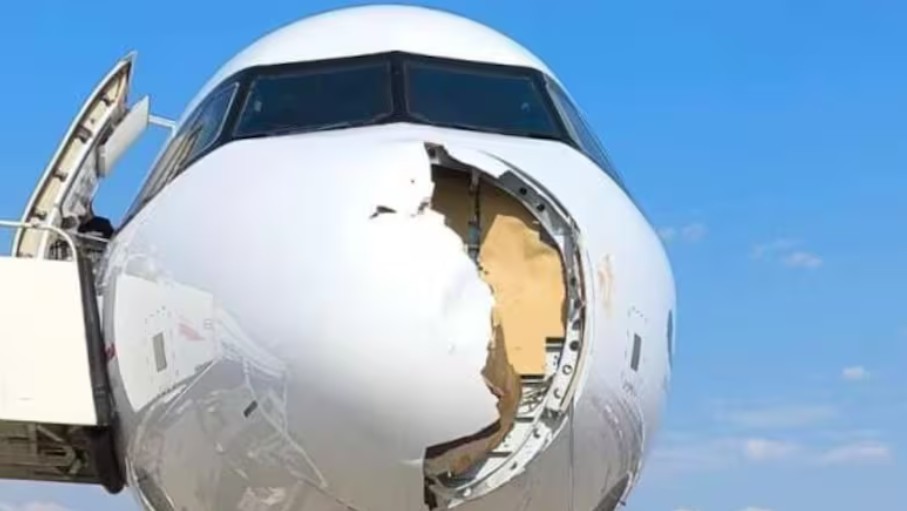 bird strike volo iberia