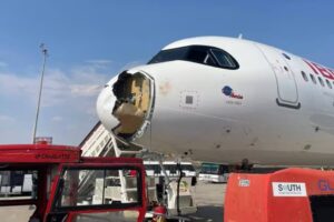 bird strike volo iberia