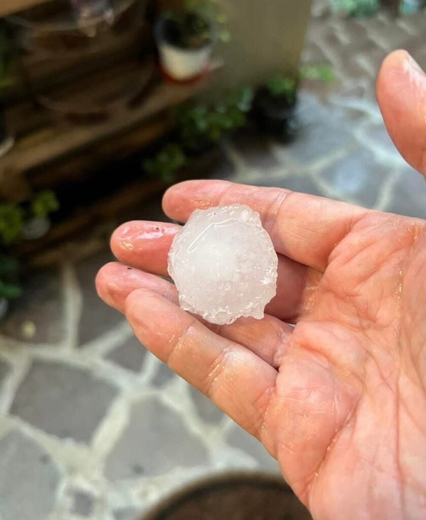 grandine padova oggi