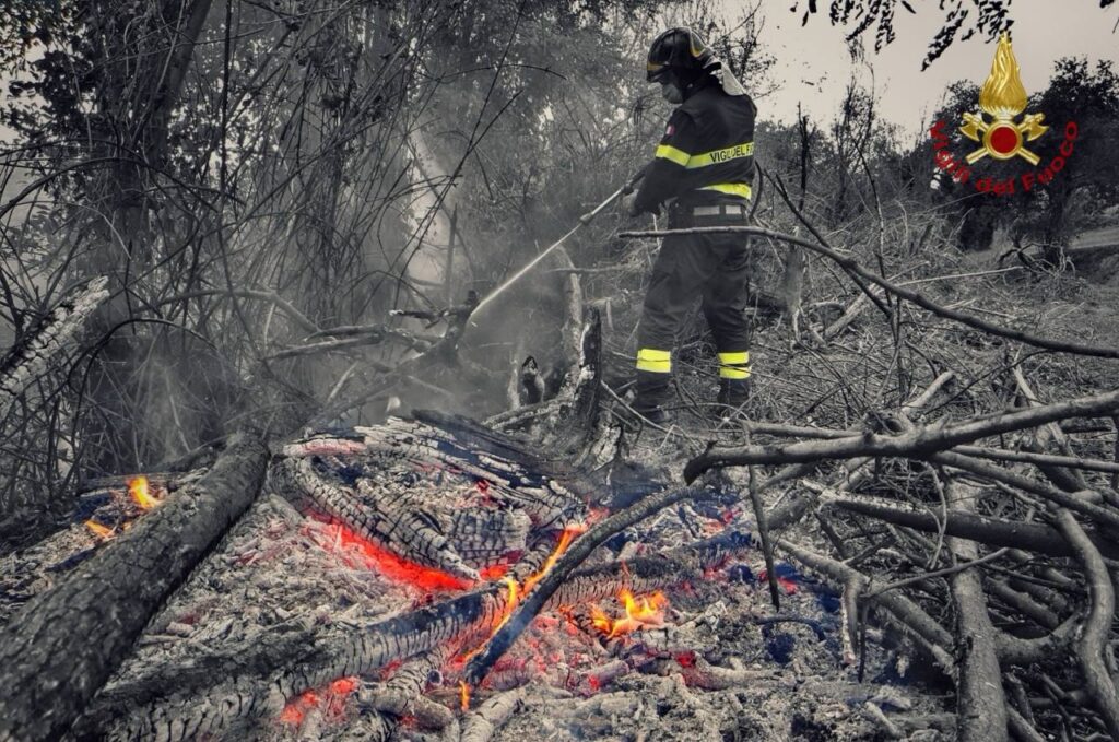 incendi boschivi vigili del fuoco generica