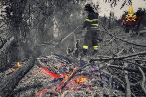 incendi boschivi vigili del fuoco generica