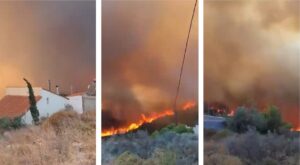 incendi grecia