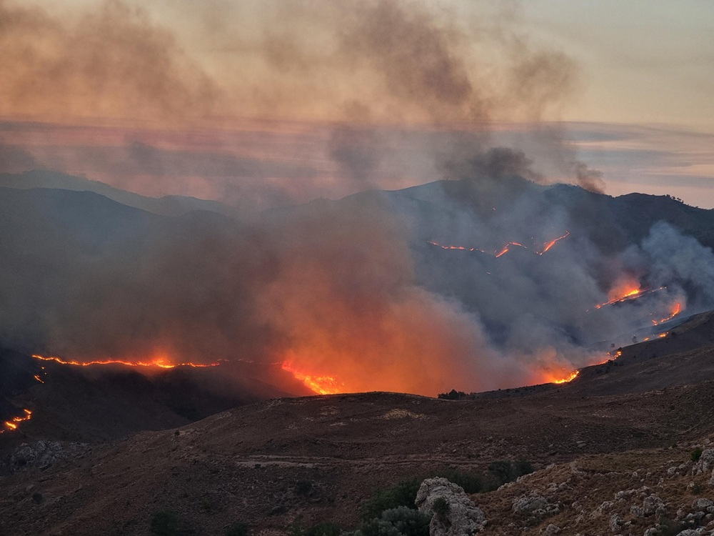 incendi grecia