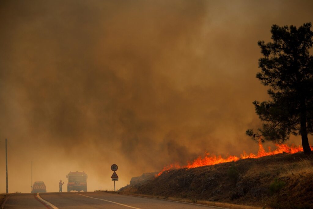 incendi portogallo
