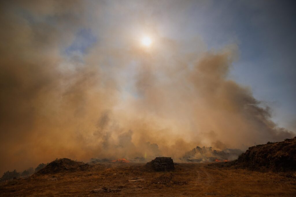 incendi portogallo