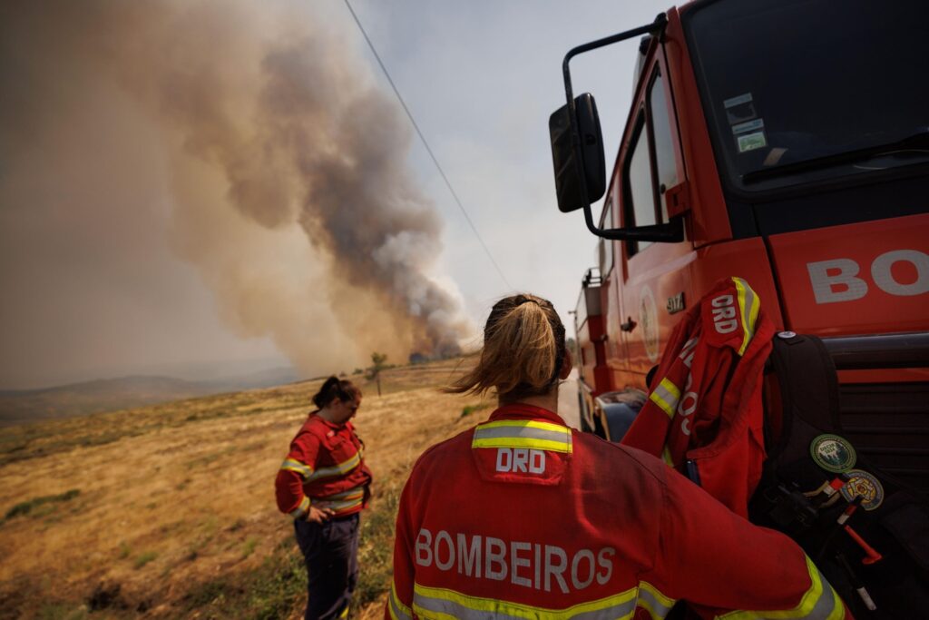 incendi portogallo