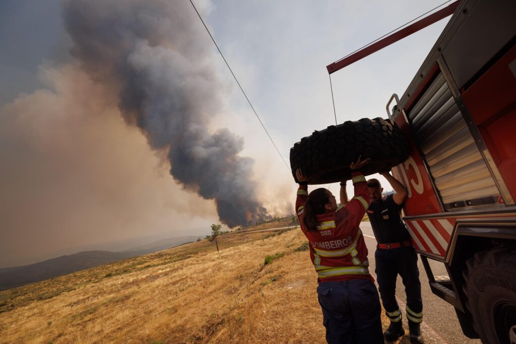 incendi portogallo