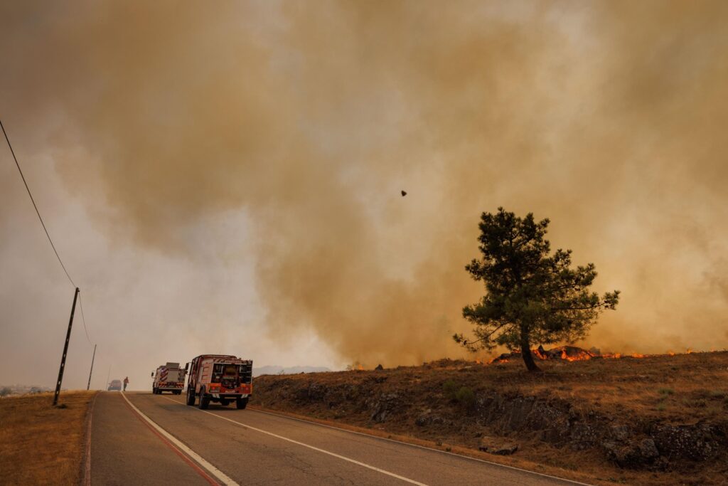 incendi portogallo