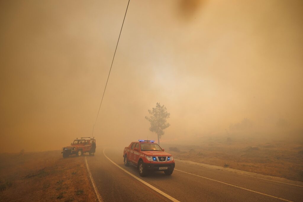 incendi portogallo
