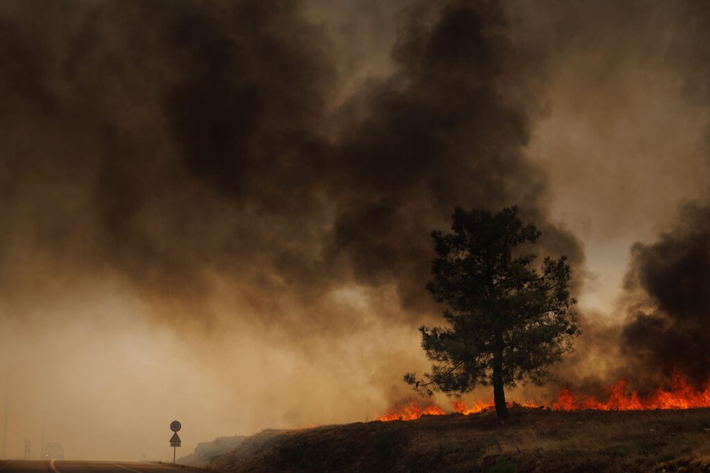 incendi portogallo
