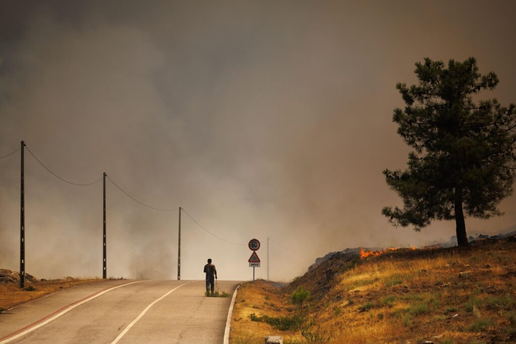 incendi portogallo