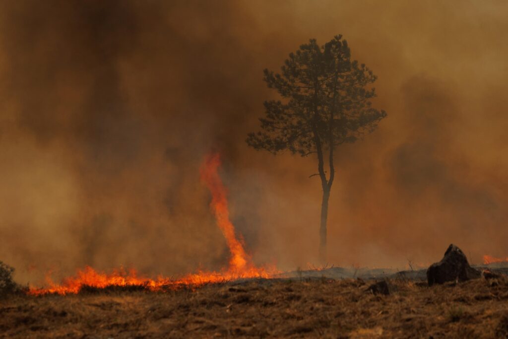 incendi portogallo
