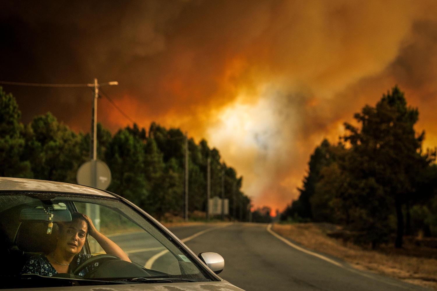 Incendio record in Portogallo, distrutti 64mila ettari di boschi
