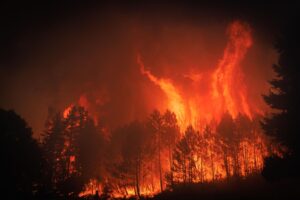incendi portogallo