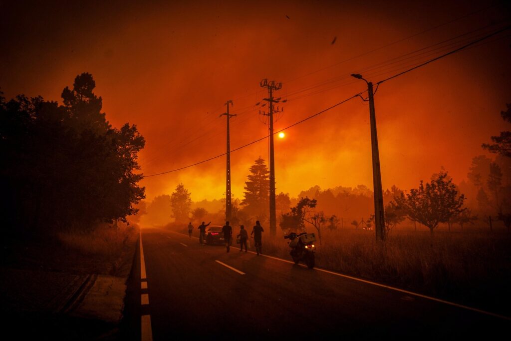incendi portogallo