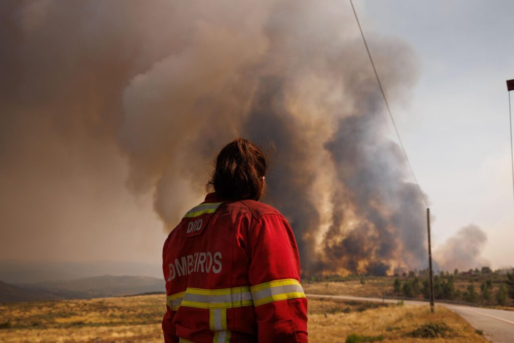 incendi portogallo
