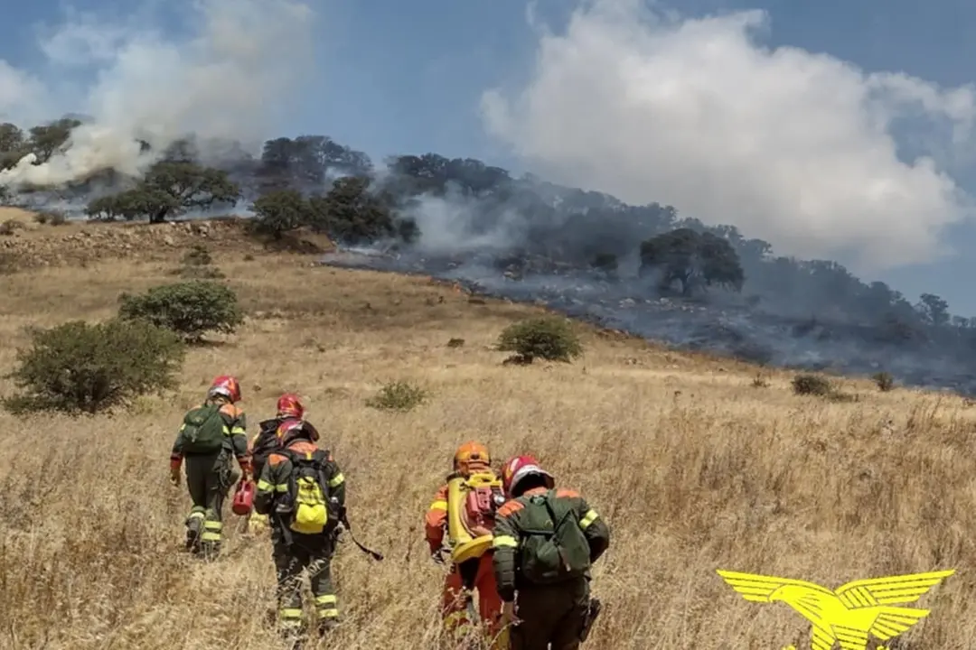 Oggi 16 incendi in Sardegna: mezzi aerei in azione