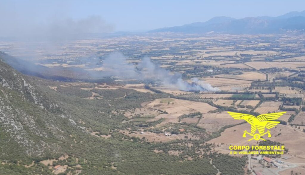 incendi sardegna
