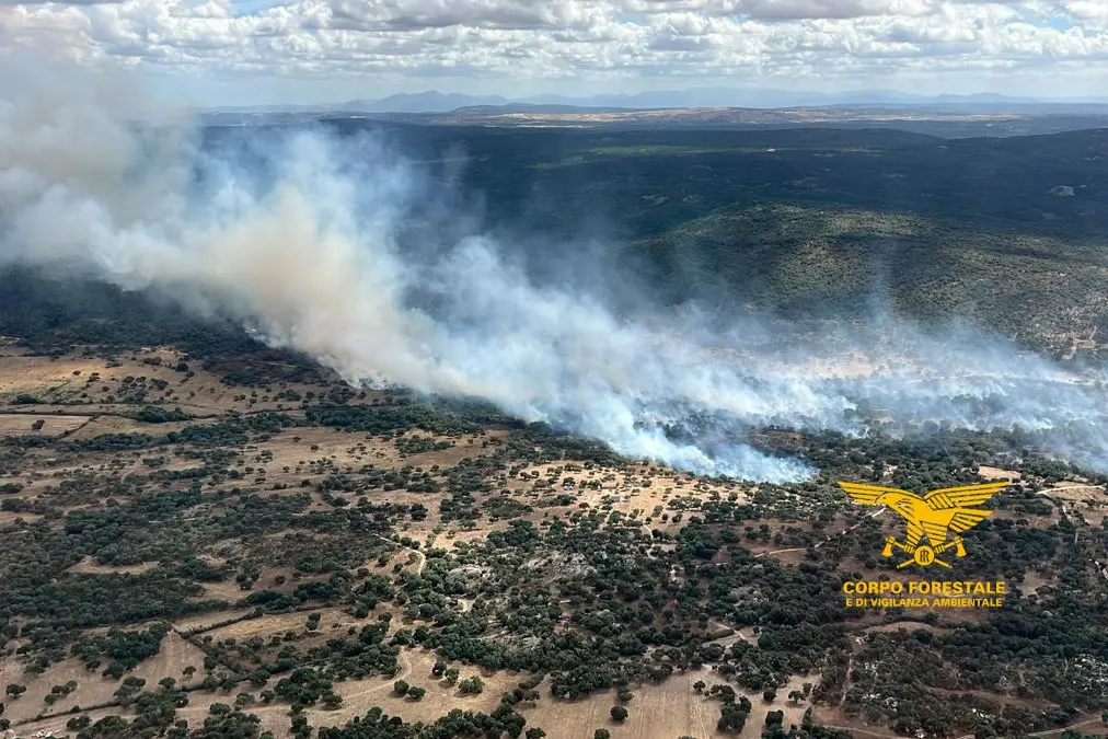 incendi sardegna