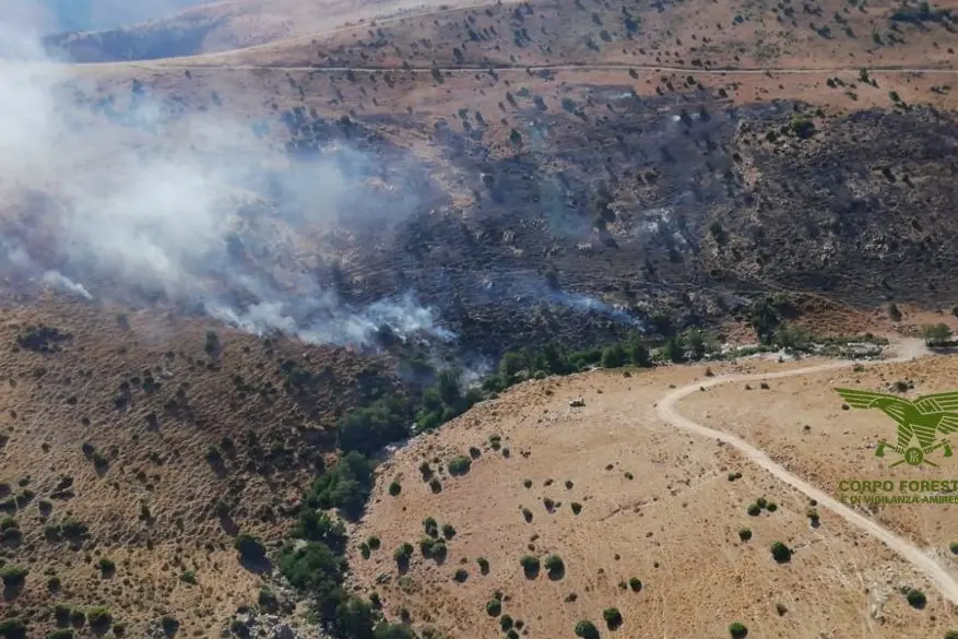 incendi sardegna
