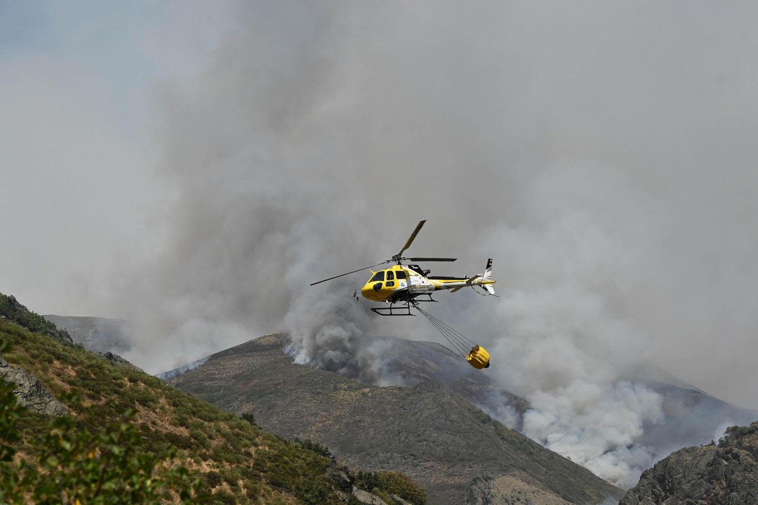 Spagna, allarme incendi fuori controllo nel nord-ovest: 39 roghi attivi, migliaia di sfollati