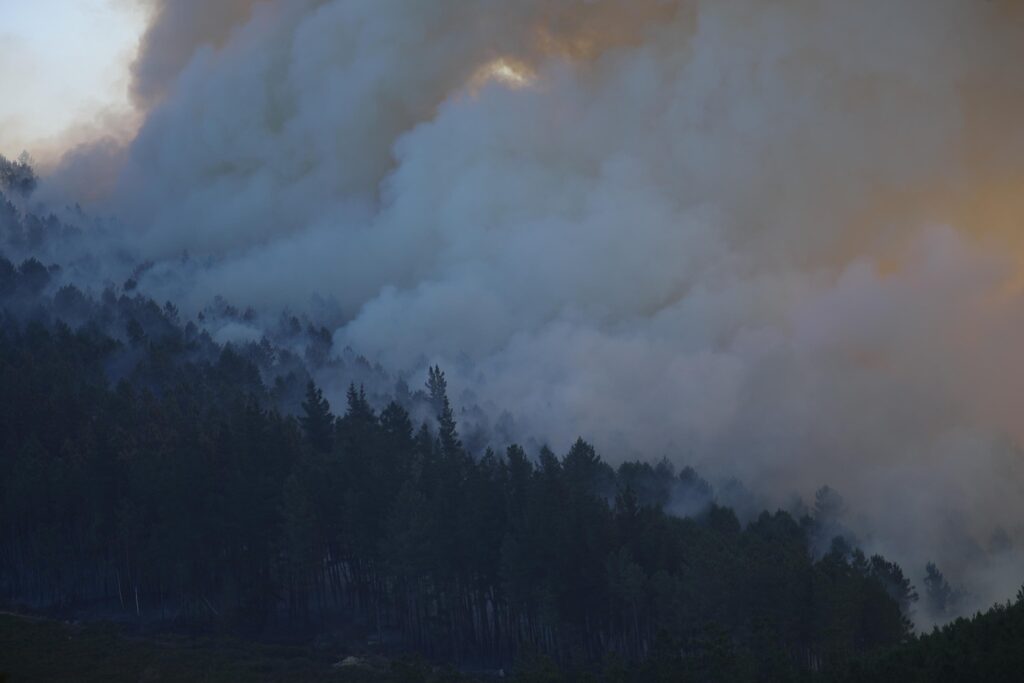 incendi spagna
