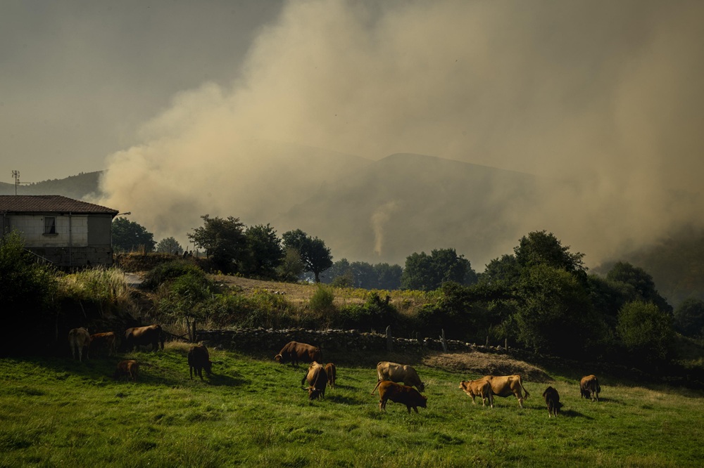 incendi spagna