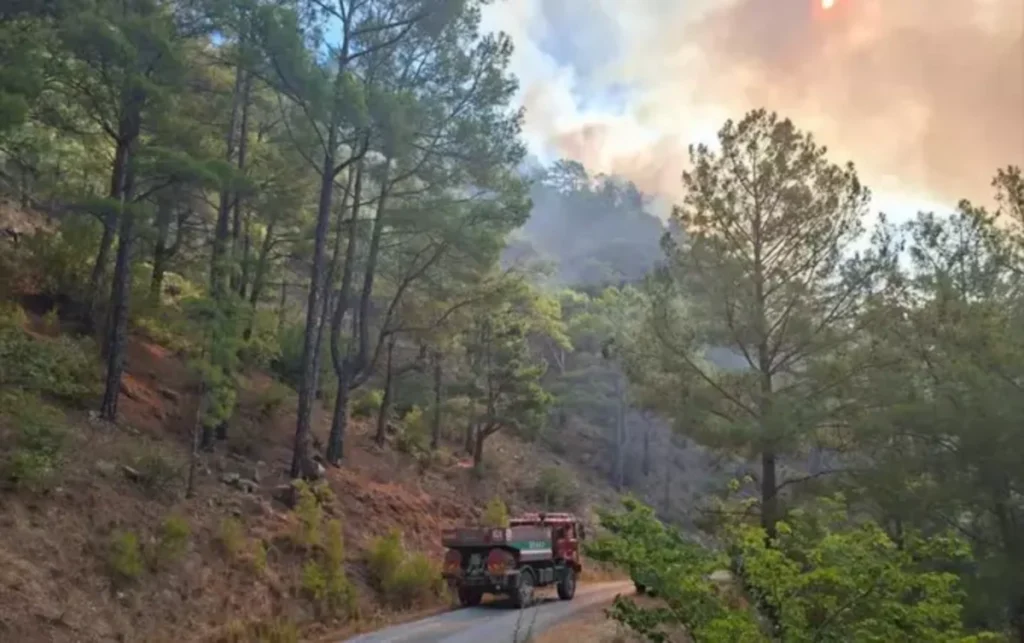 incendi turchia