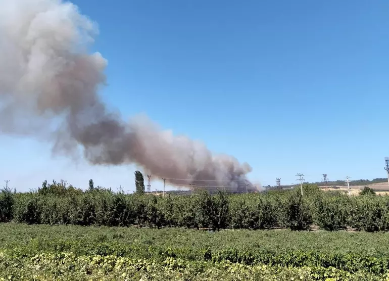 incendi turchia