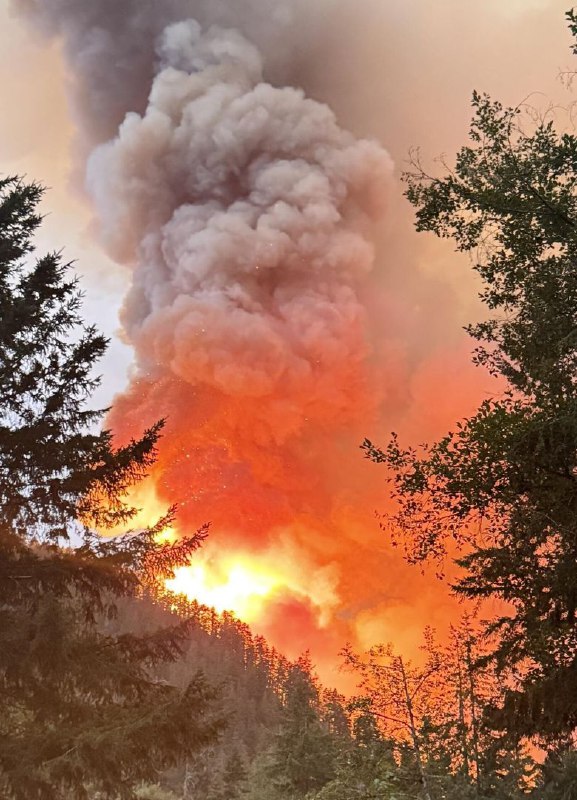 incendio Bear Gulch