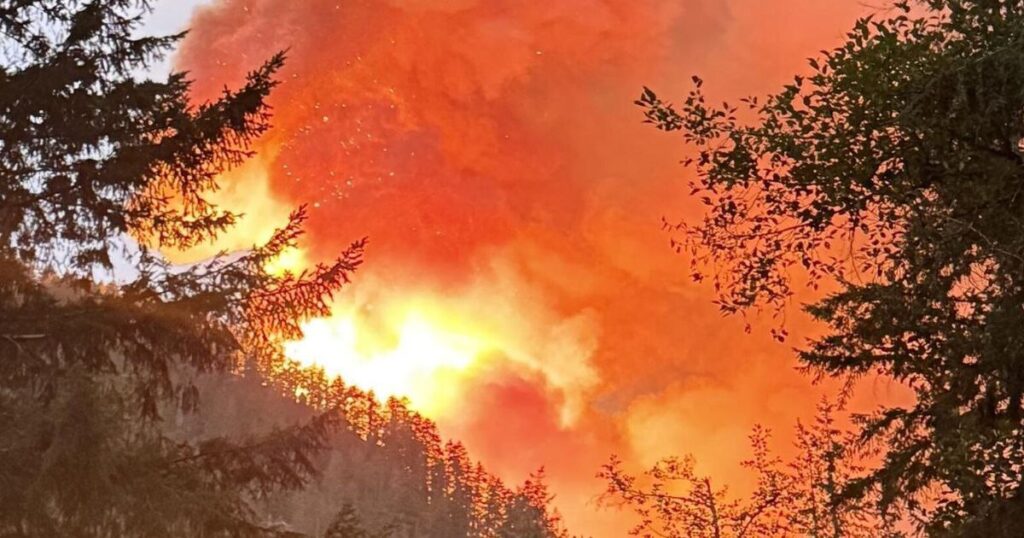 incendio Bear Gulch