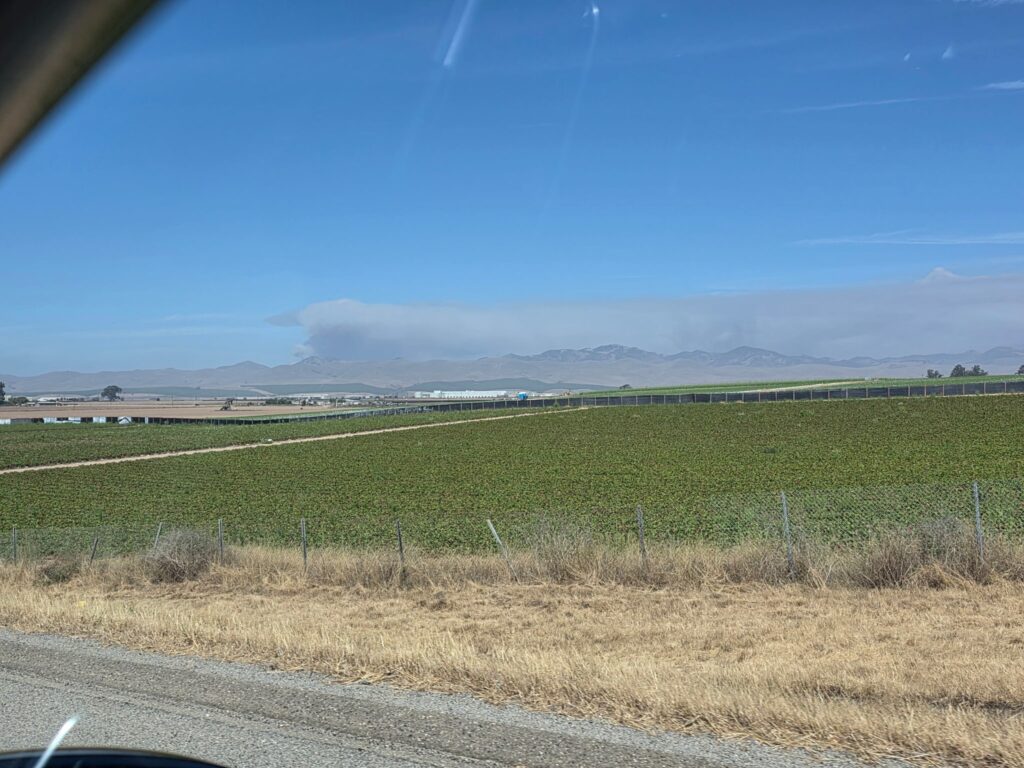 incendio Gifford Fire california