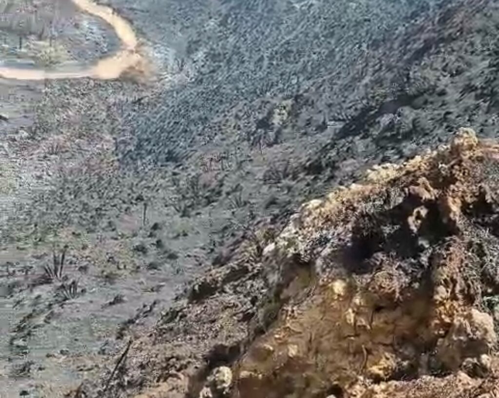 incendio Monte Sara sicilia