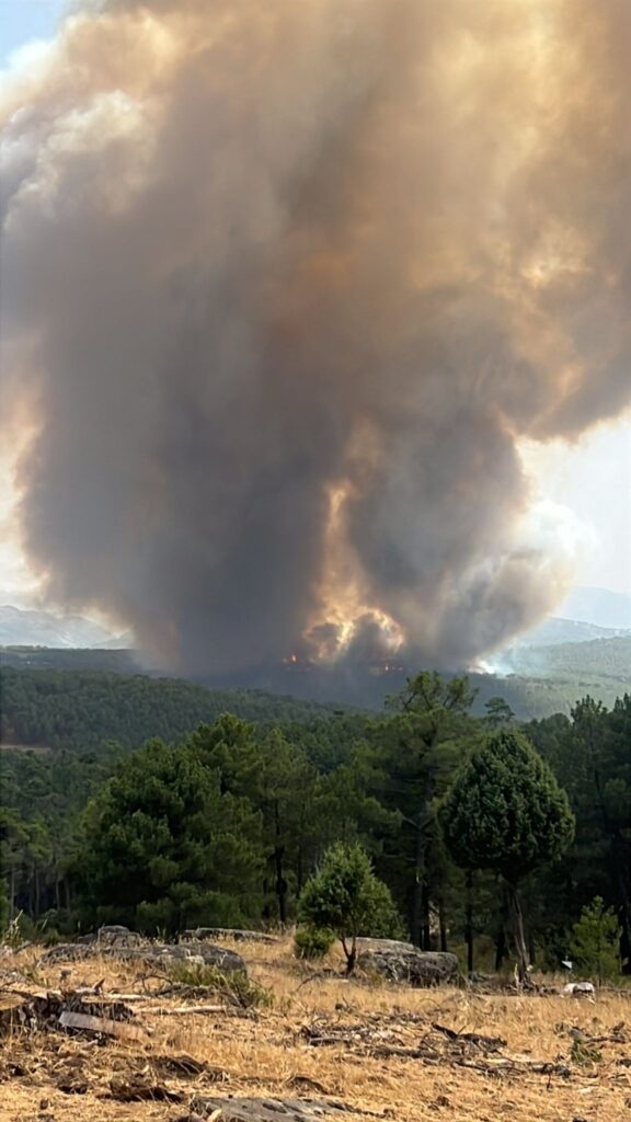 incendio San Bartolomé de Pinares spagna