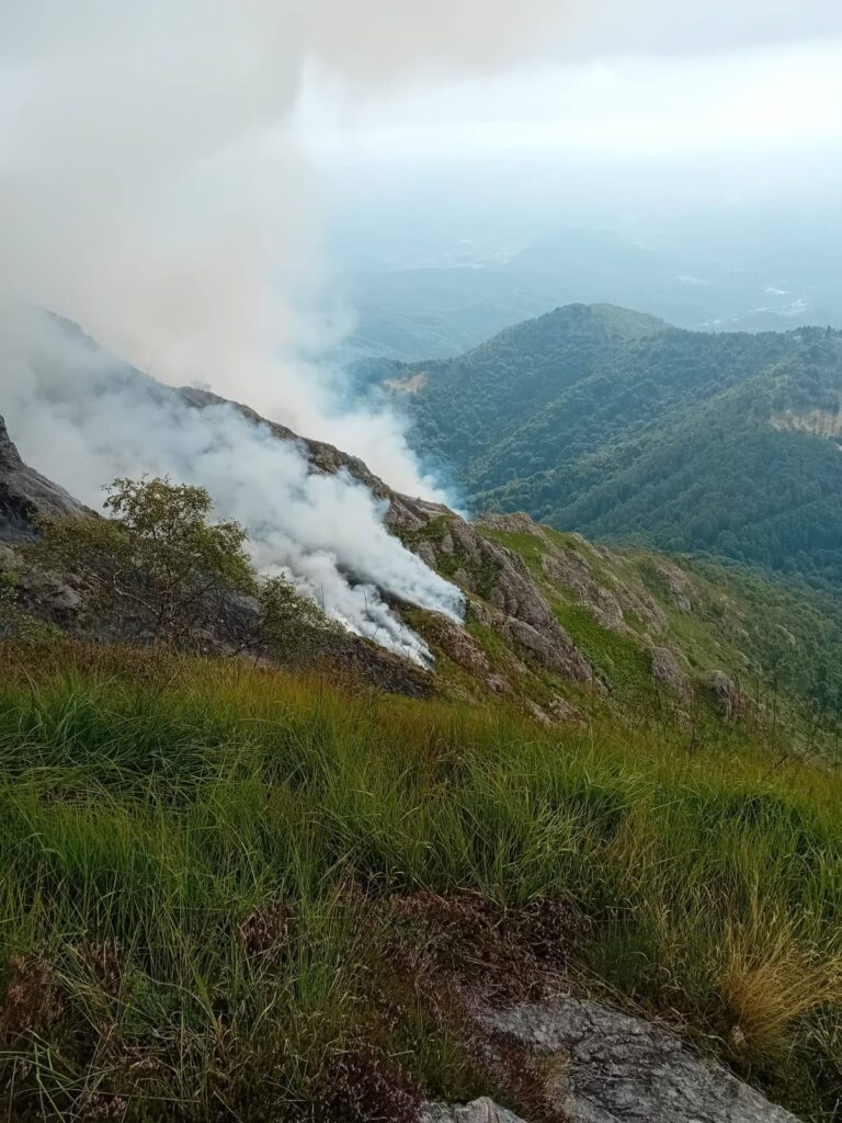 incendio alpe noveis piemonte