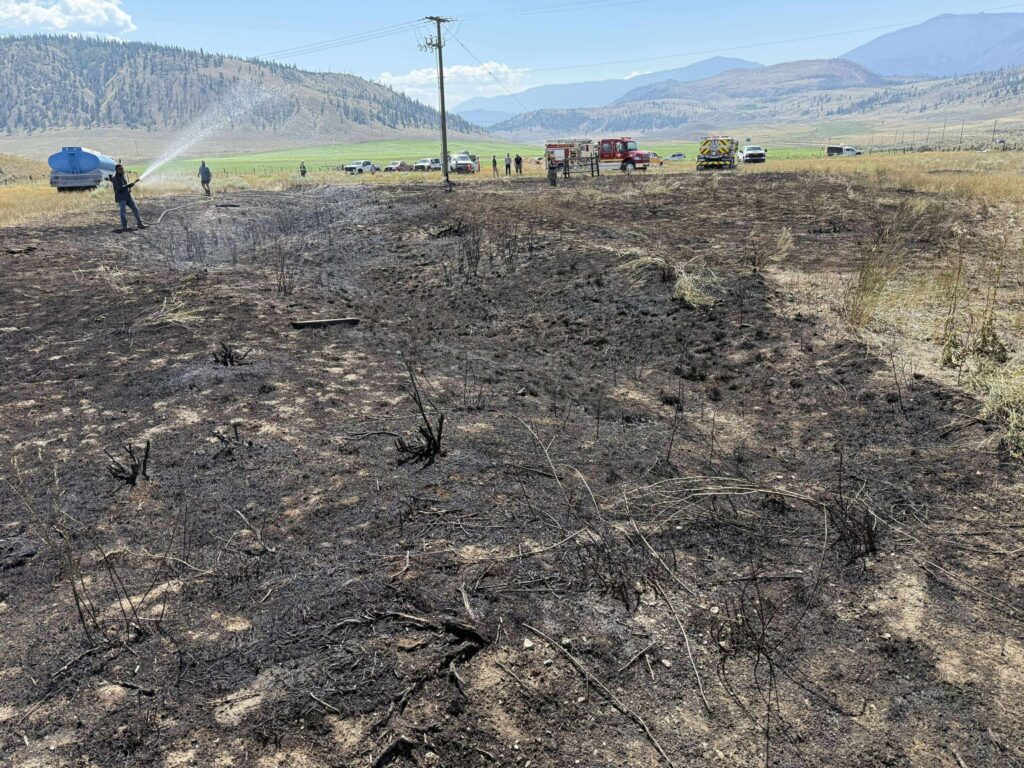 incendio ashcroft pesce blackout