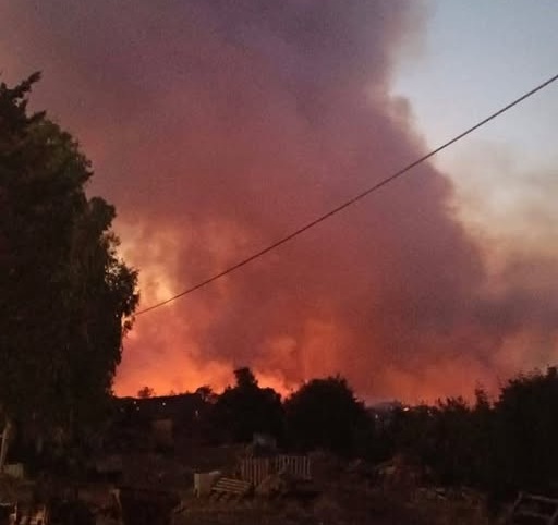 incendio cana toscana