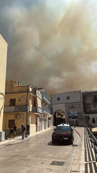 incendio irsina basilicata