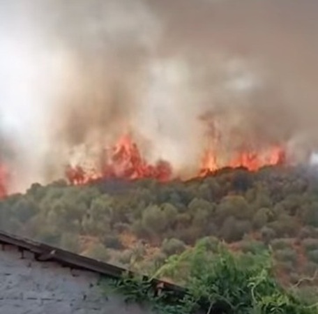 incendio massarosa toscana