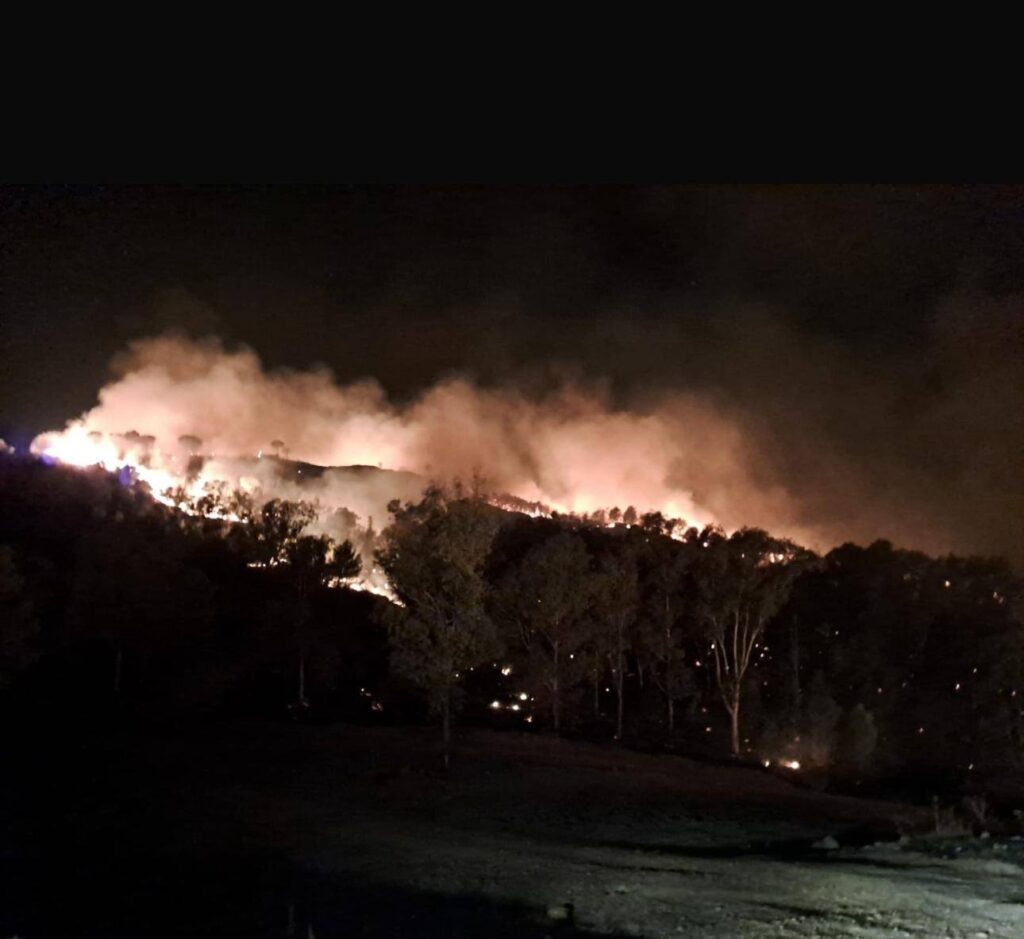 incendio monte sara sicilia
