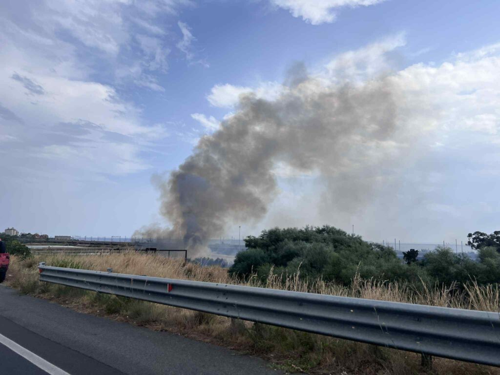 incendio oasi saline ioniche