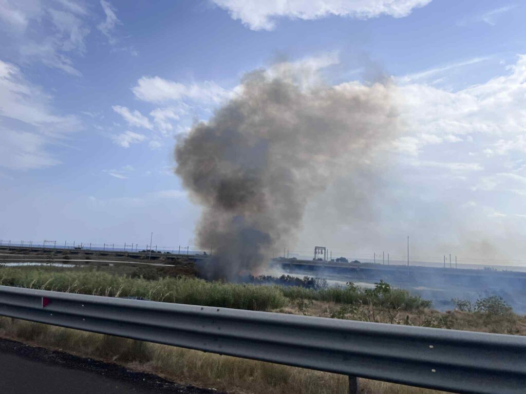 incendio oasi saline ioniche